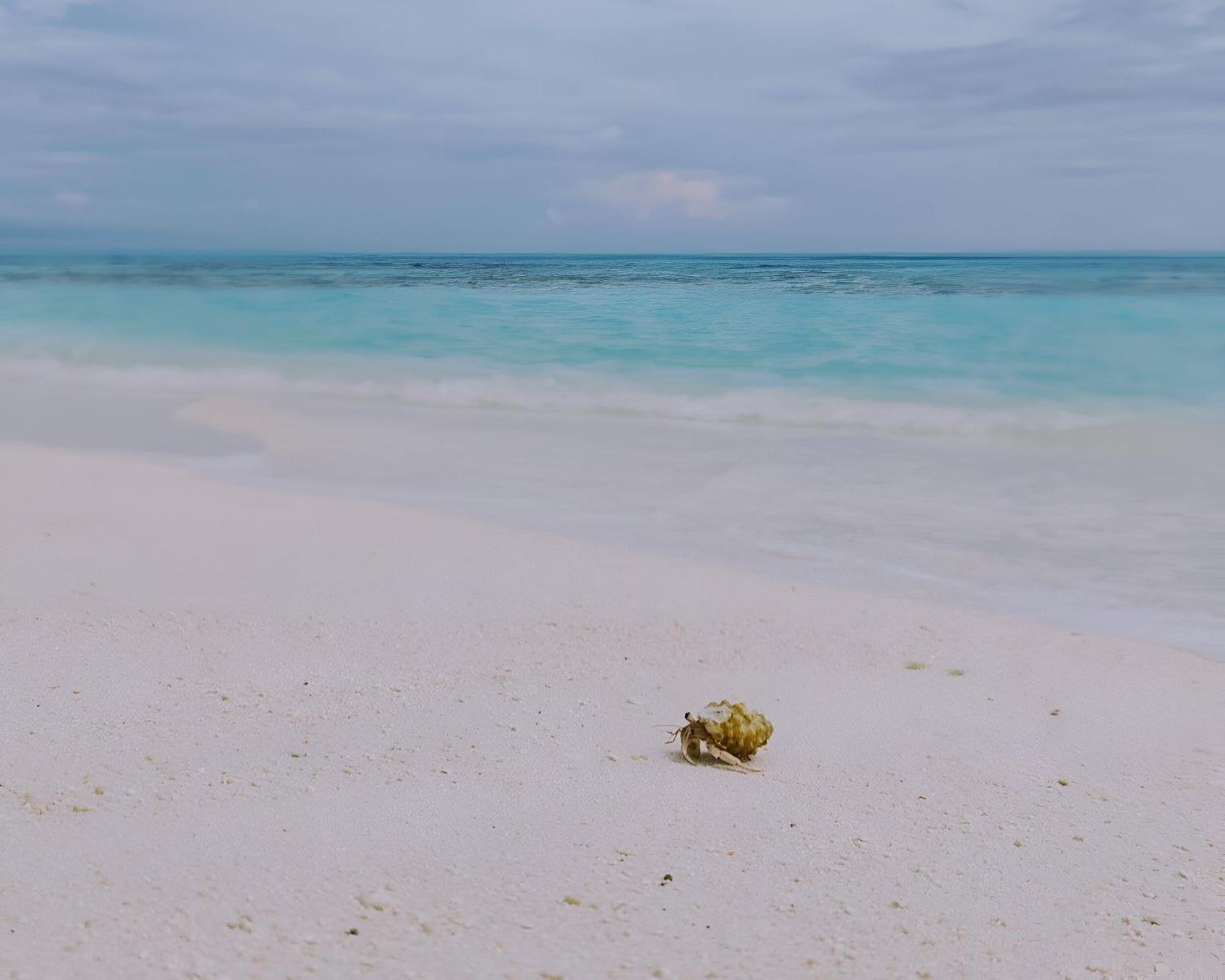 Bougan Villea Retreat Bodufolhudhoo Exteriér fotografie